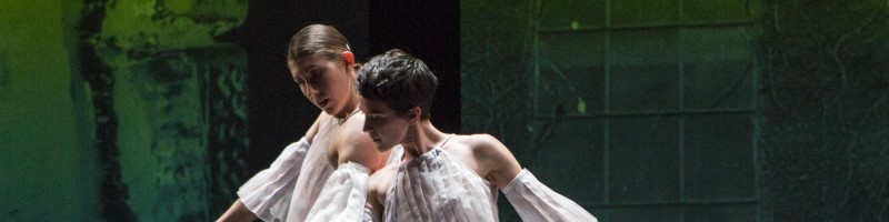 "Glacial Decoy"/ Stephen Petronio Company